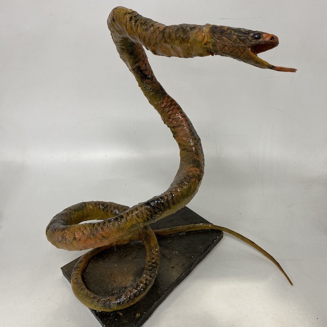 SNAKE, Model 48cm H